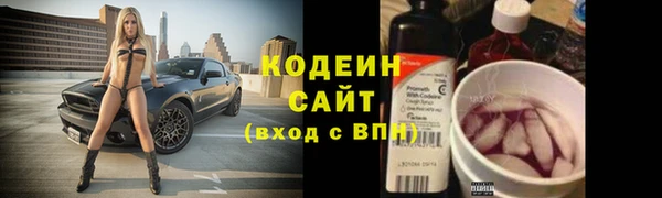 твердый Бородино