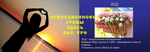 твердый Бородино