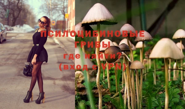 прущий лед Бугульма