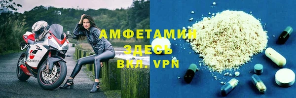 твердый Бородино