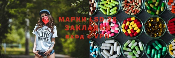 твердый Бородино