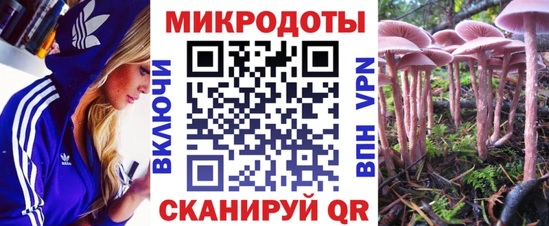 Псилоцибиновые грибы Psilocybine cubensis  Джанкой 